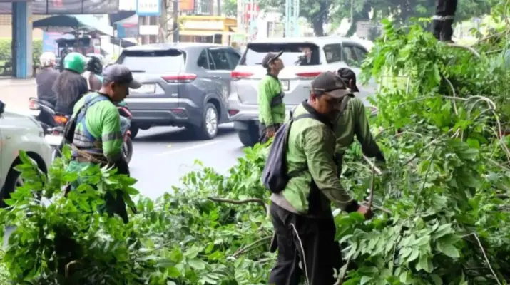 Pemkot Jakarta Selatan Pangkas 23 Pohon Rawan Tumbang di Kebayoran Lama demi Keselamatan Warga
